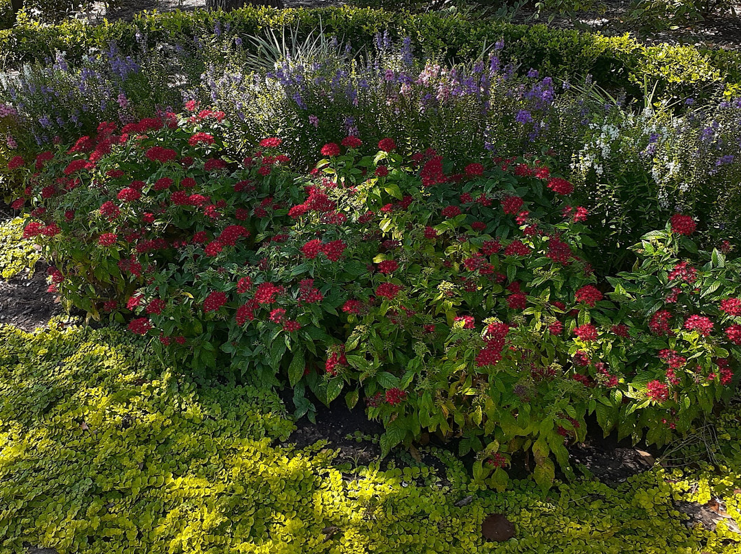 LaCenterra at Cinco Ranch-卡蒂必去景点