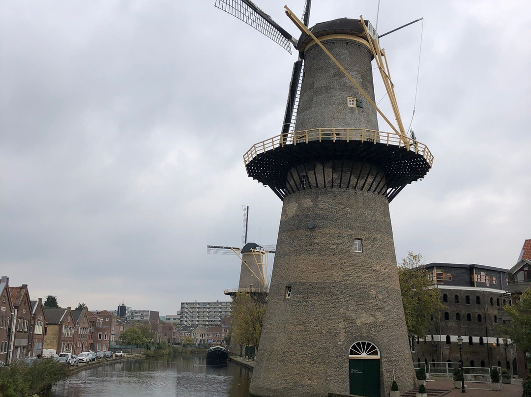 Schiedam Windmills景点图片