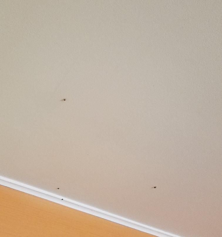 日落汽车旅馆主图