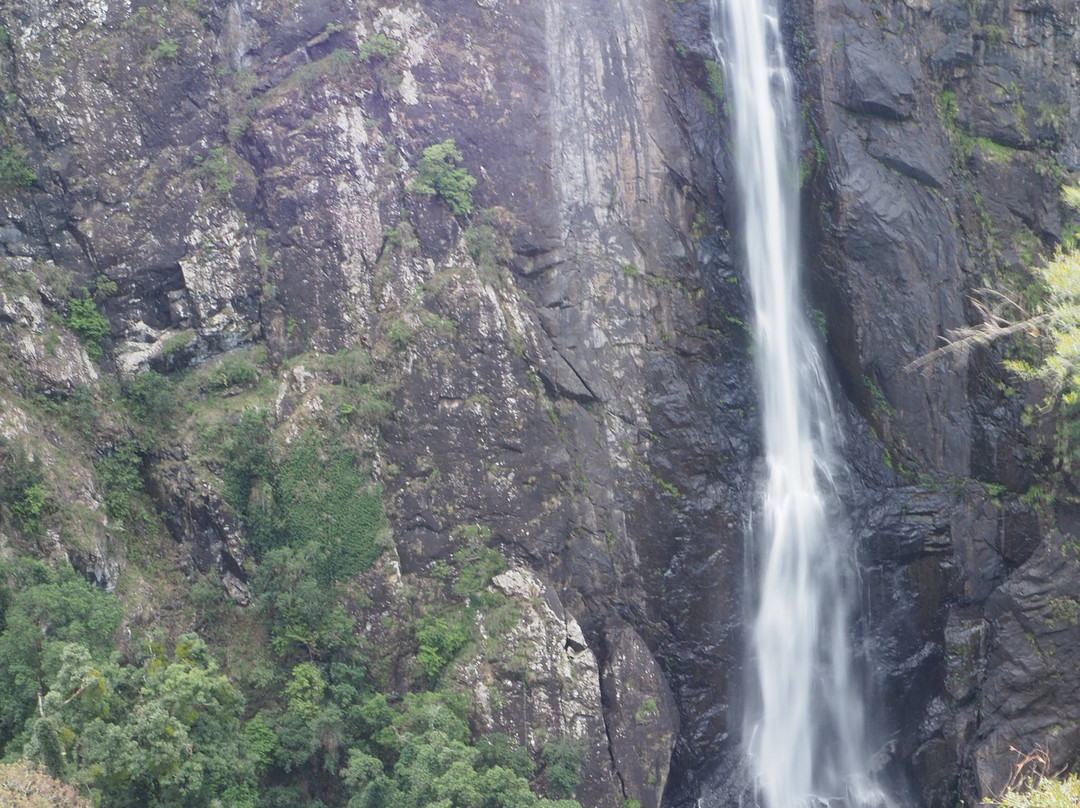 Ellenborough Falls-Elands必去景点