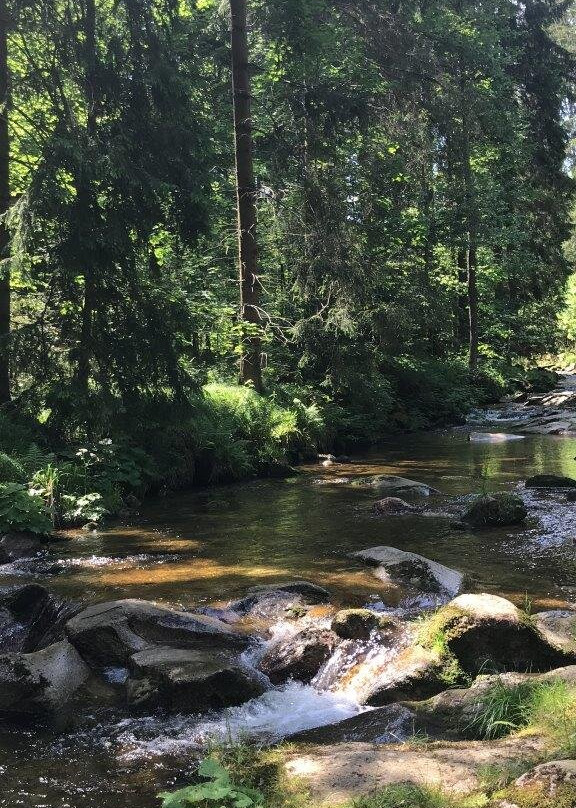 Auersbergkonig-Eibenstock必去景点