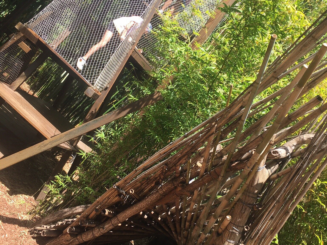 The Ian Potter Children's Wild Play Garden景点图片