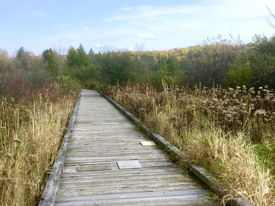 The Minden River Walk景点图片