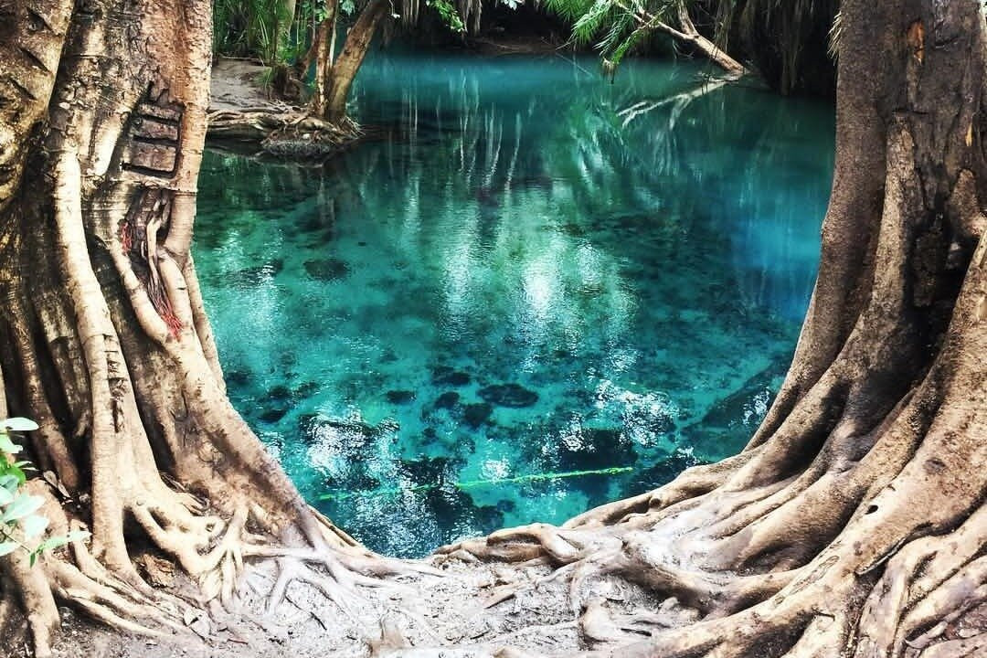 lets wander Tanzania-莫西必去景点