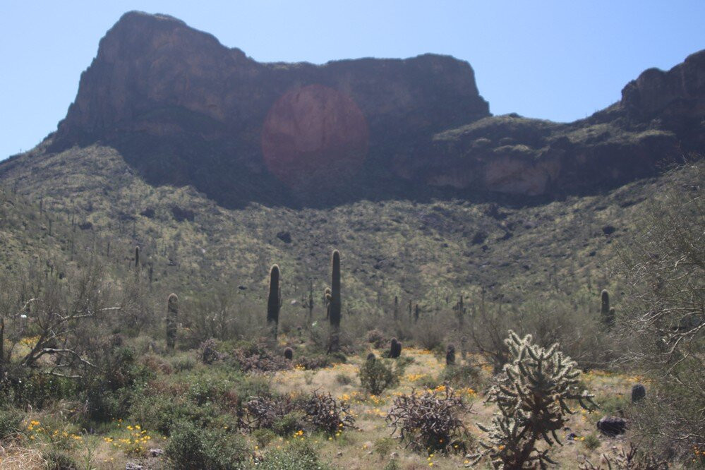 Picacho Peak State Park景点图片