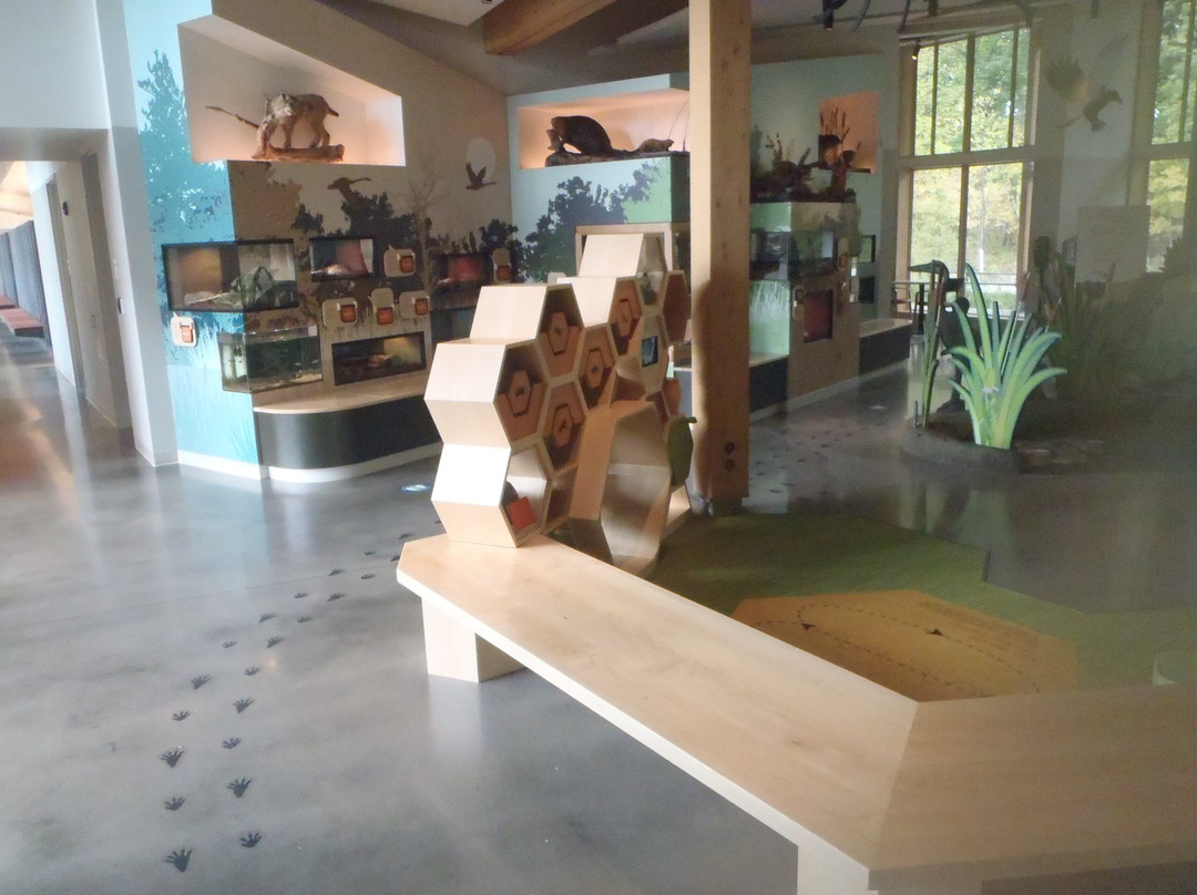 Westwood Hills Nature Reserve-Saint Louis Park必去景点