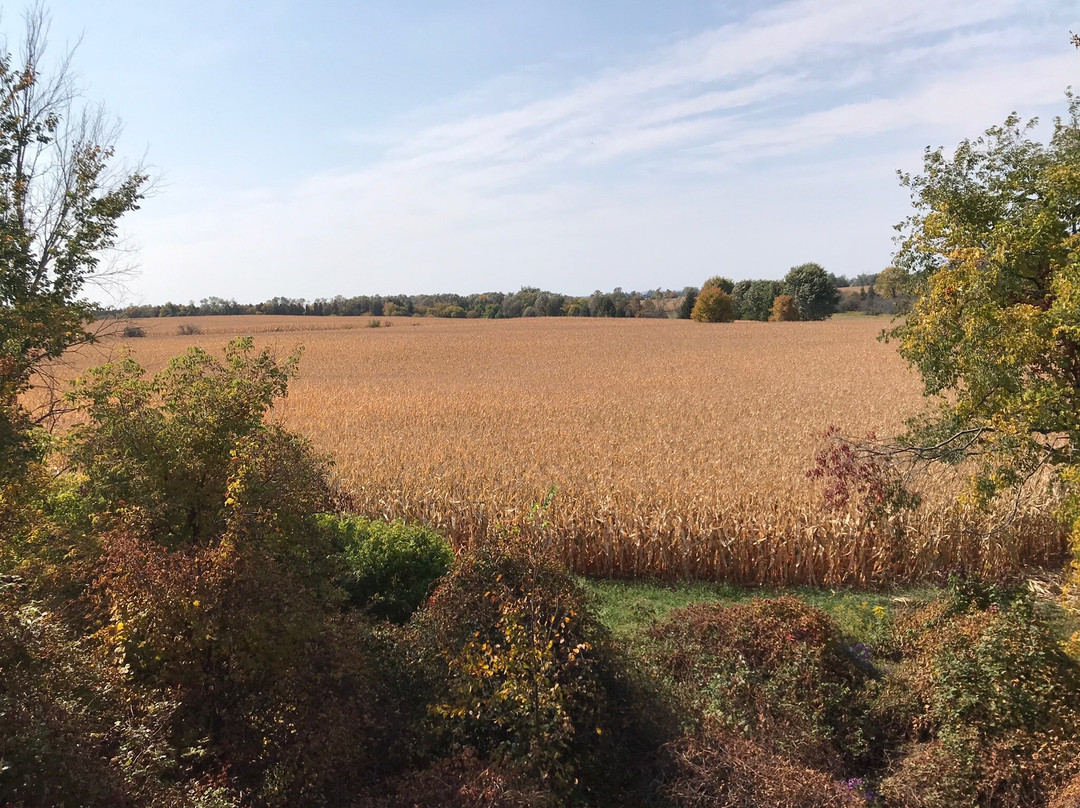 South Simcoe Railway-Tottenham必去景点
