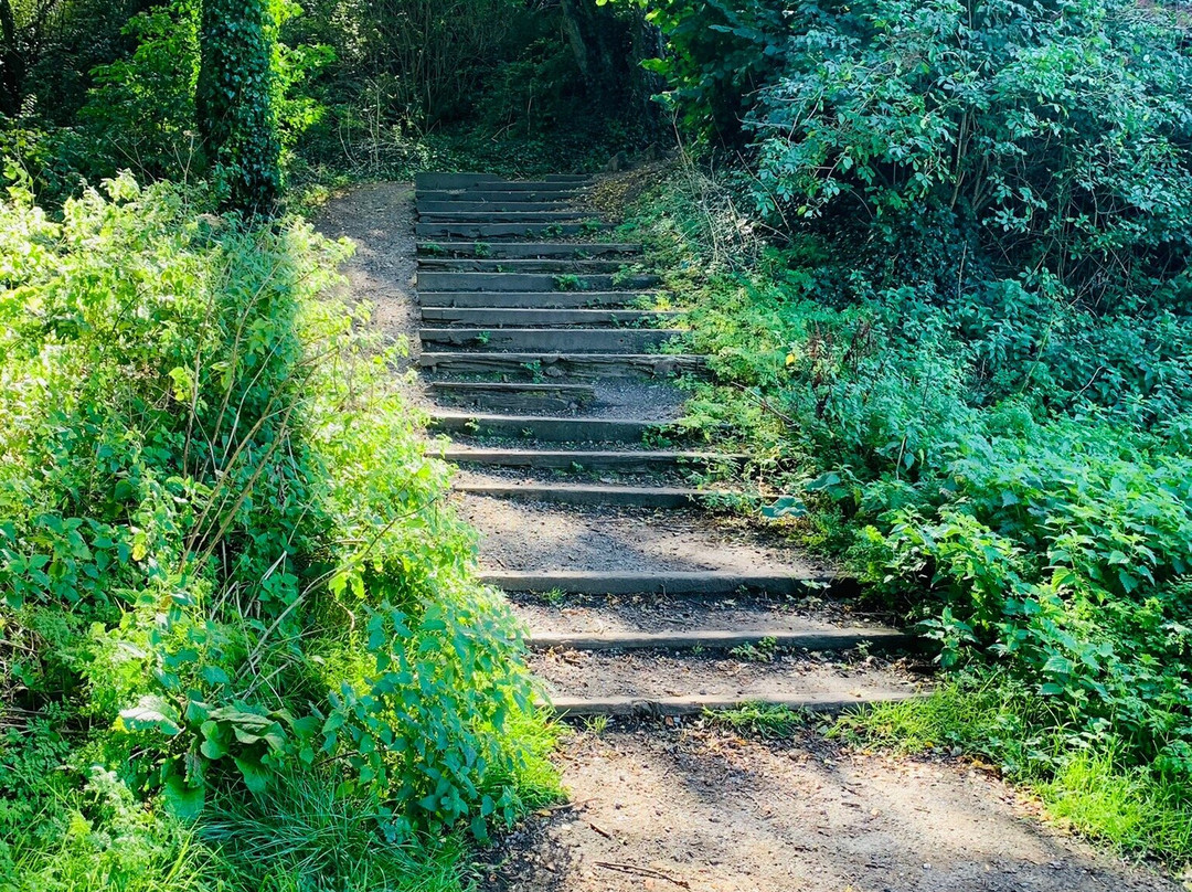 Ward River Valley Park景点图片