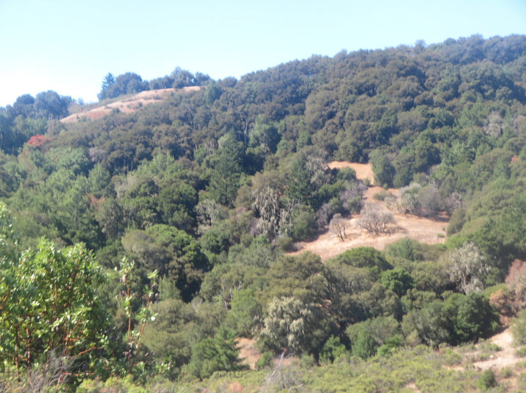 Skyline Ridge Preserve-La Honda必去景点