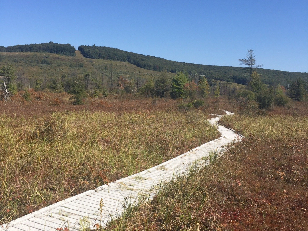 Cranesville Swamp Nature Preserve景点图片