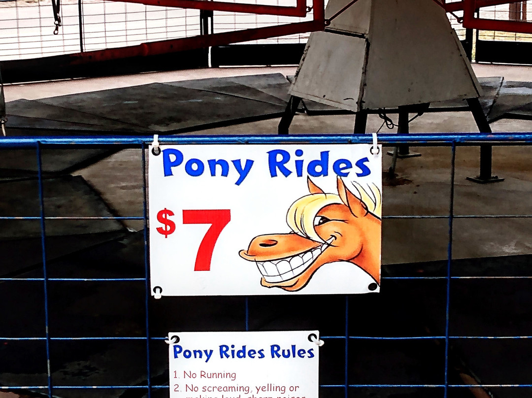 The Pony Ring-鲁伊多索必去景点