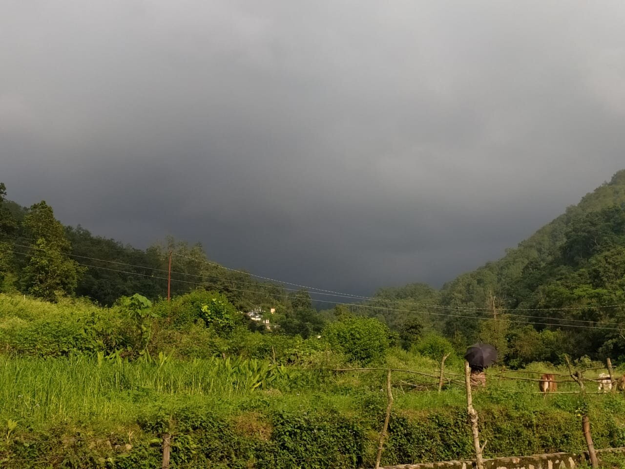 Rio Resort-酒店景观