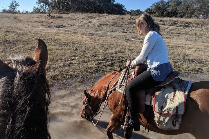 Horseback Adventures of Central Texas-Wimberley必去景点