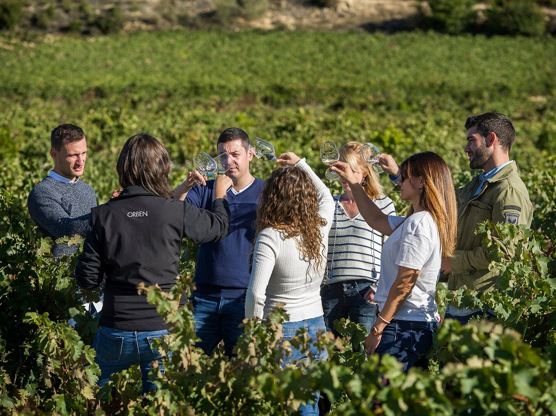 Bodegas Izadi景点图片