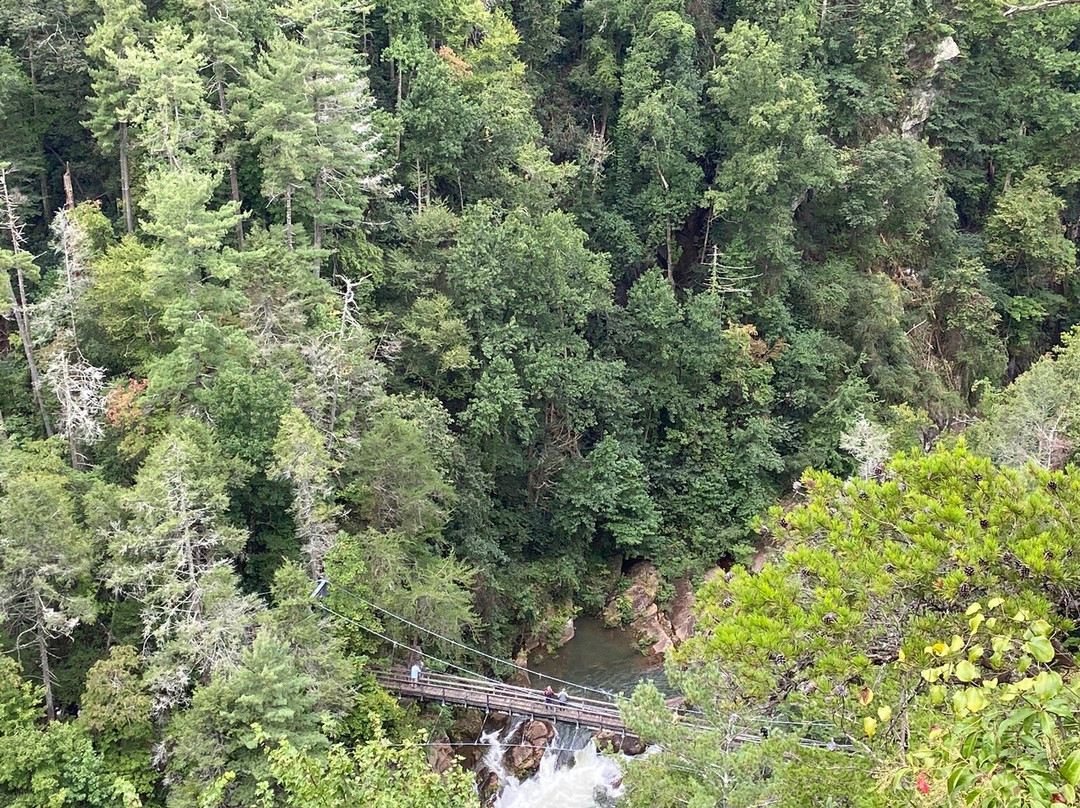 Tallulah Gorge State Park景点图片