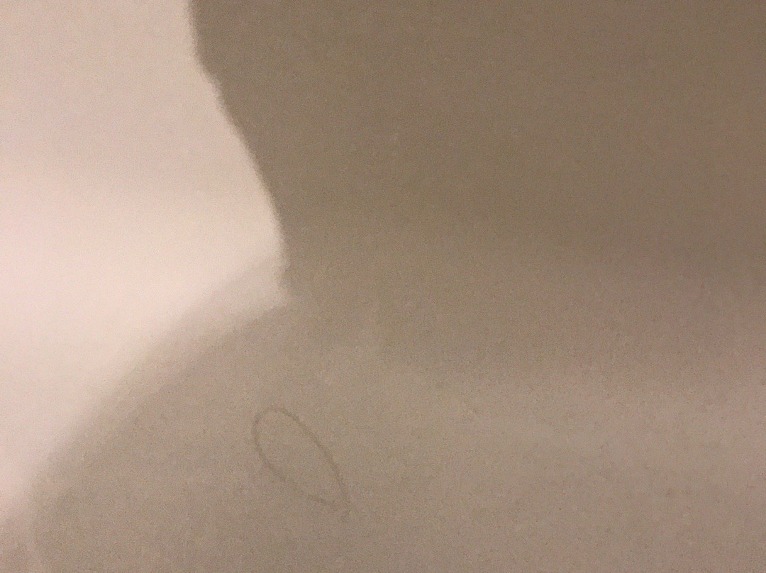 Travelodge By Wyndham Rigaud主图