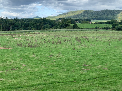 Heidi Farm-长沼町必去景点