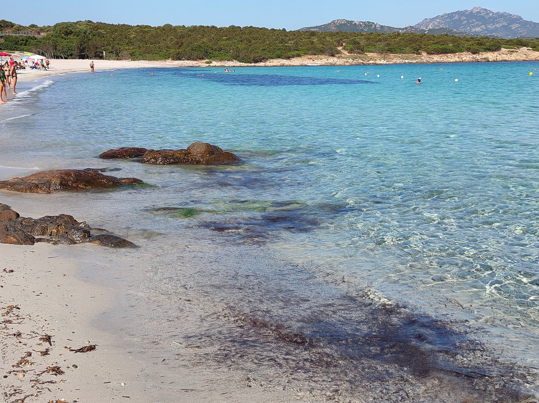 Spiaggia di Cala Sabina景点图片