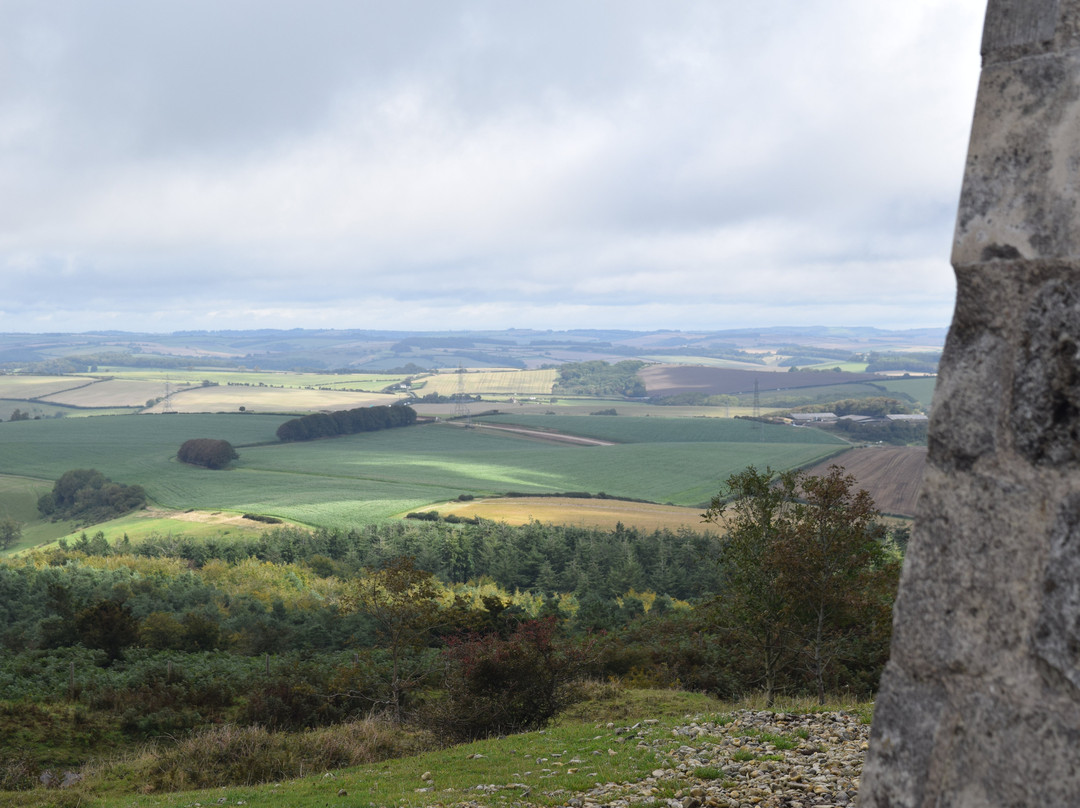 Hardy's Monument-多切斯特必去景点