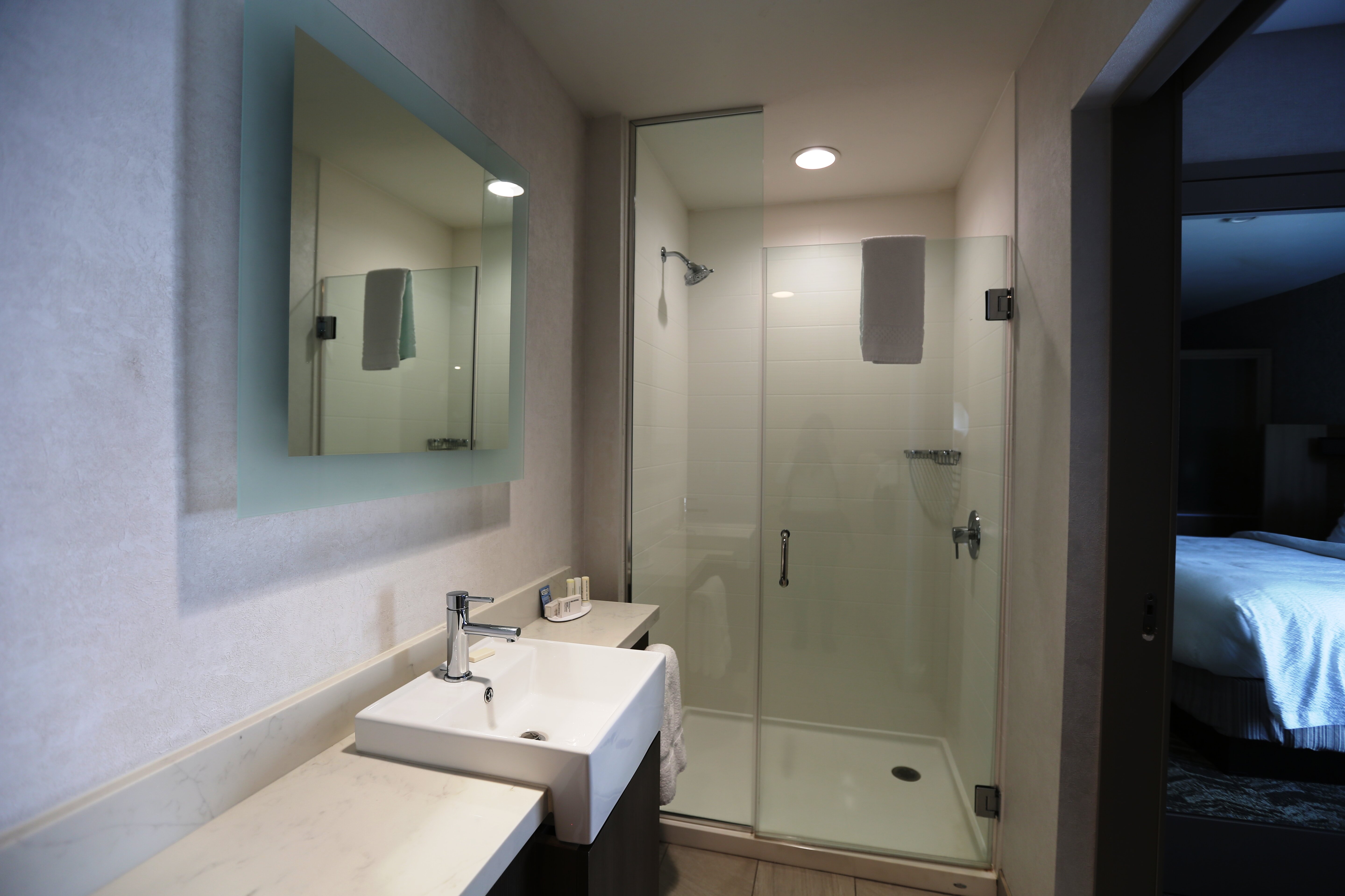 Springhill Suites Island Park Yellowstone-浴室