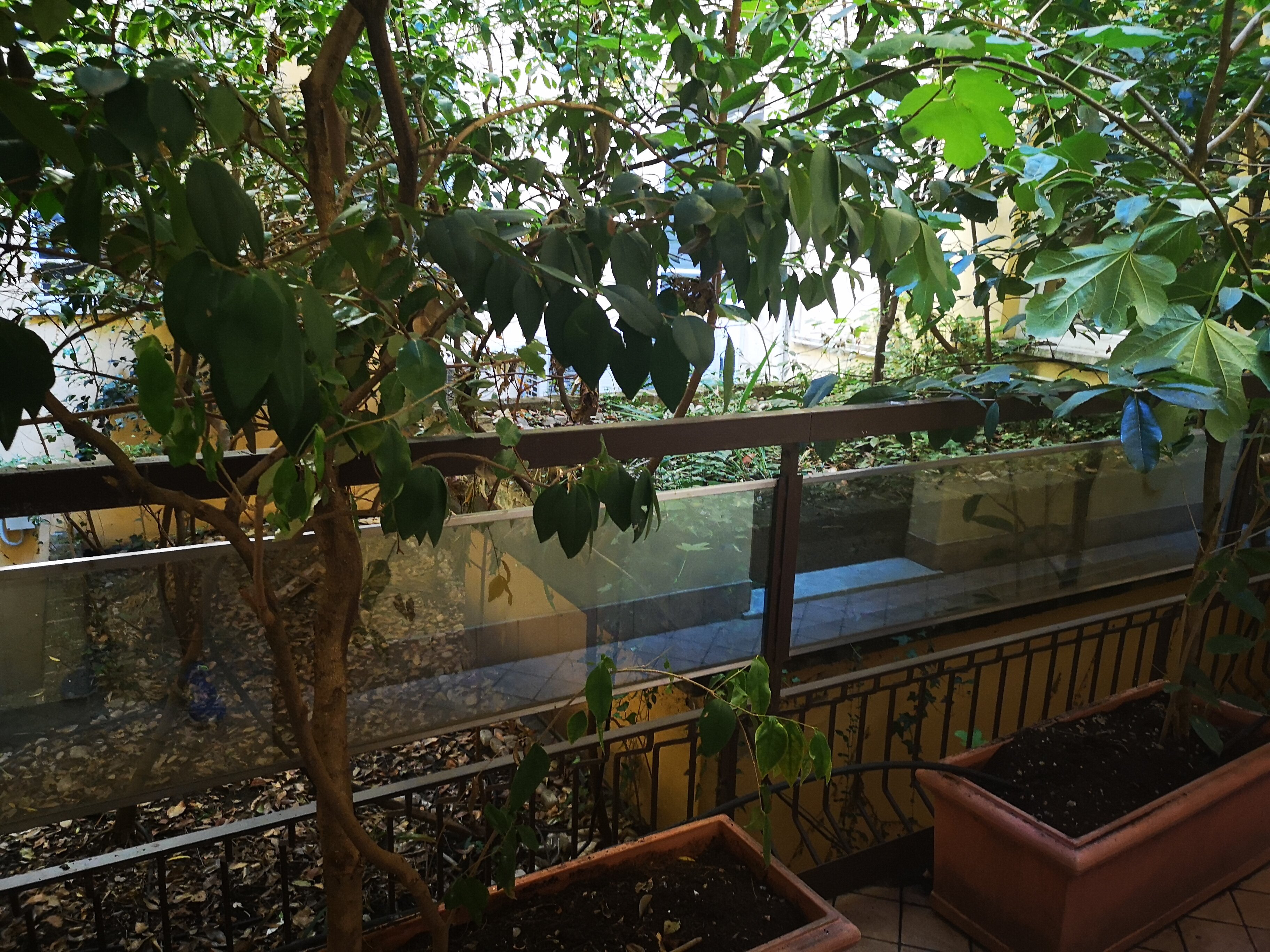 Exclusive Aparthotel La Reunion-浴室