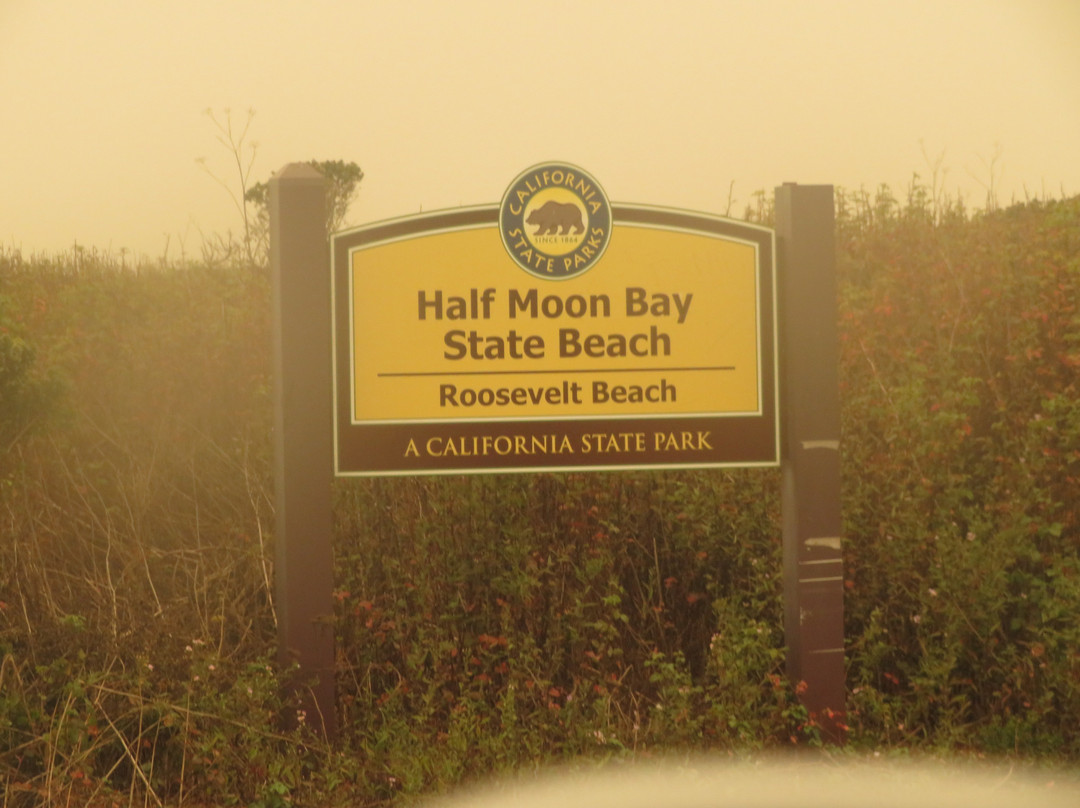 Roosevelt Beach-半月湾必去景点
