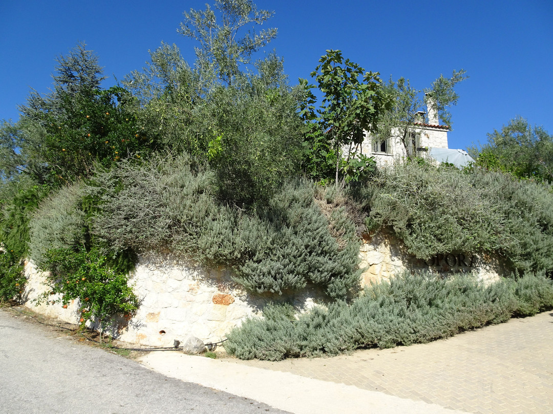 Opora Country Living主图