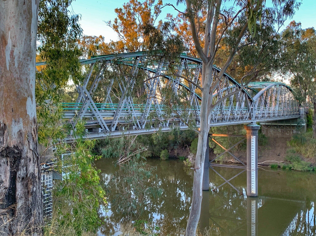 Gunsynd The Goondiwindi Grey景点图片