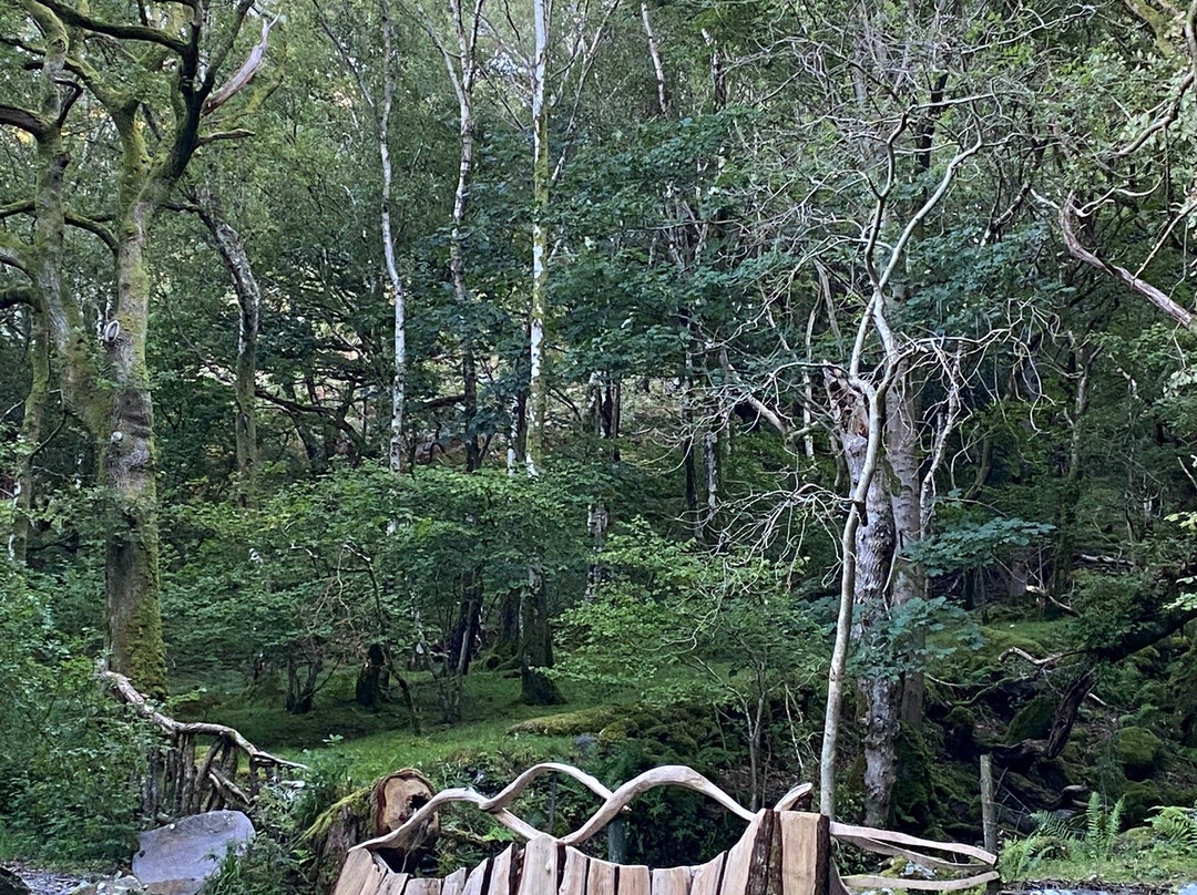 Padarn Country Park景点图片