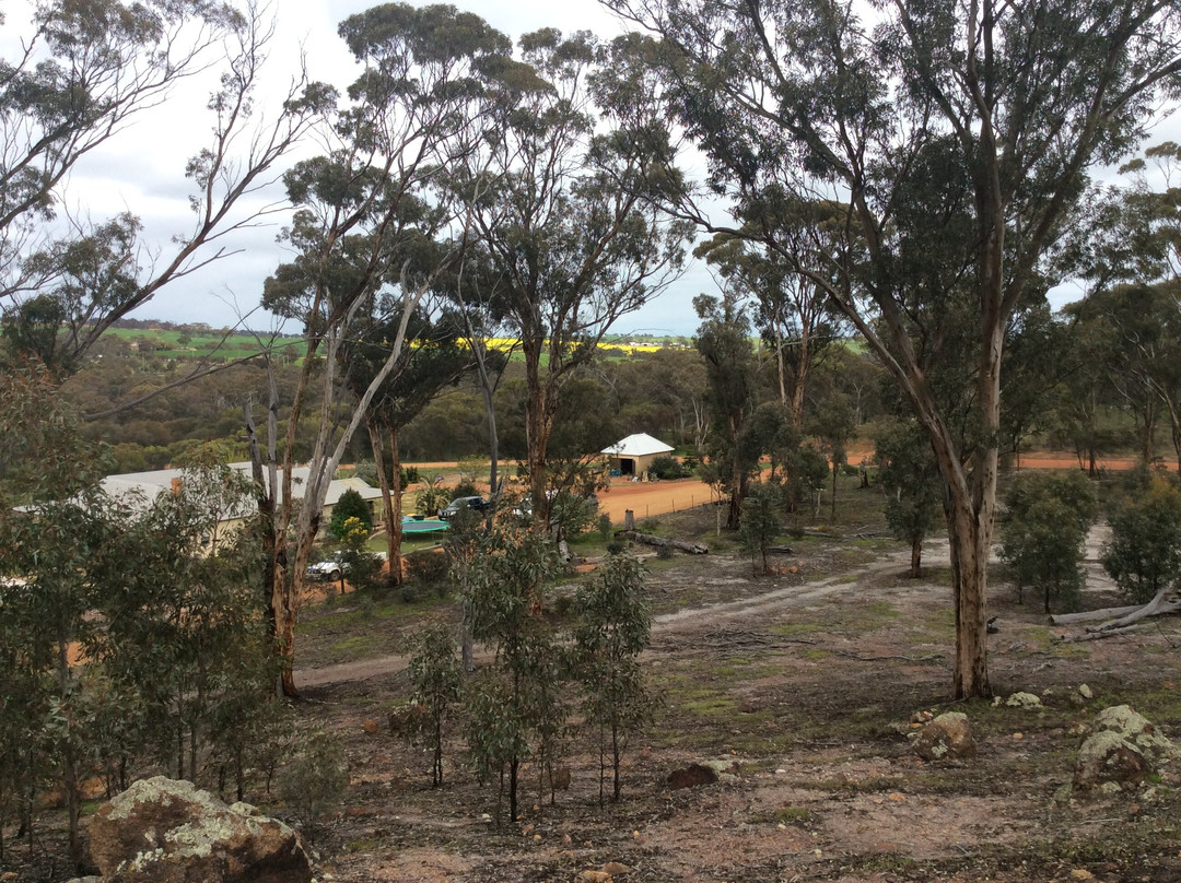 Apex Lookout-Pingelly必去景点