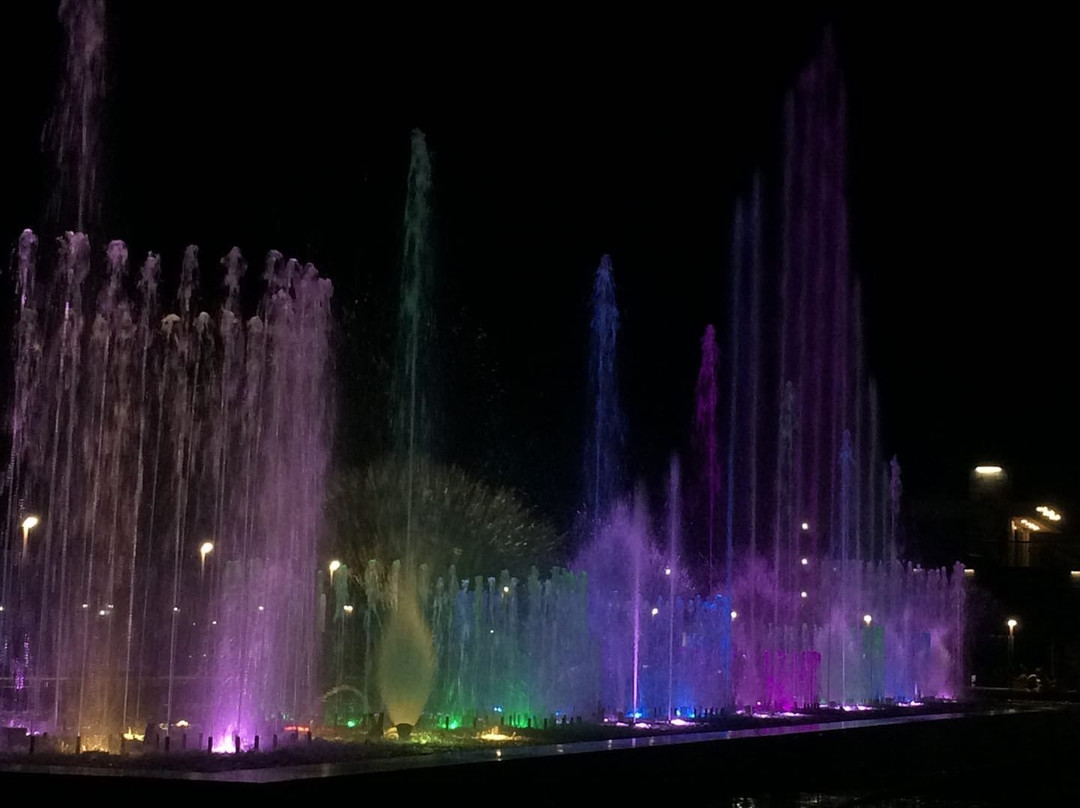 Light and Music Fountain景点图片