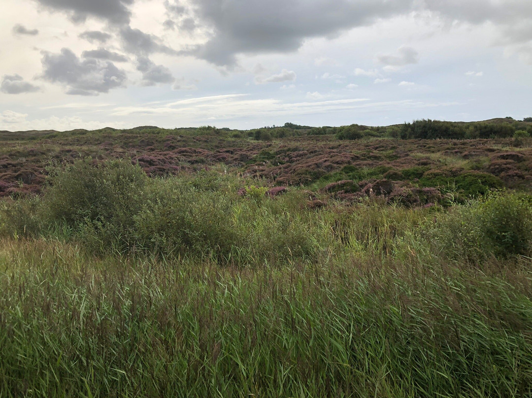 Jan Plezier Huifkartochten Texel-De Waal必去景点