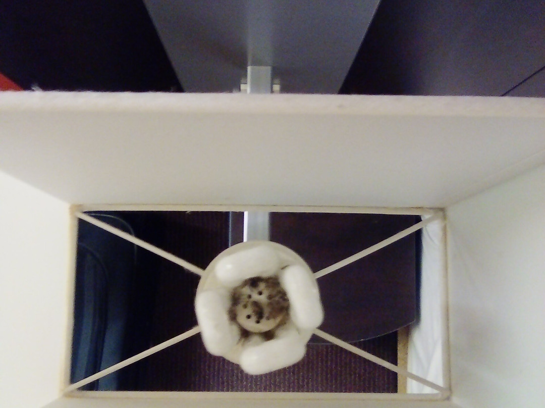 B&B HOTEL Agen Castelculier主图