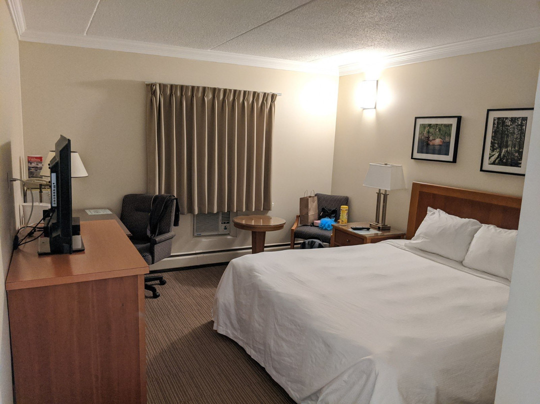 Twin Pine Motor Inn主图