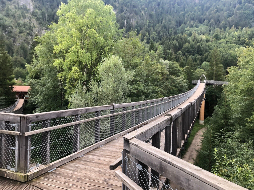 Baumkronenweg Ziegelwies景点图片