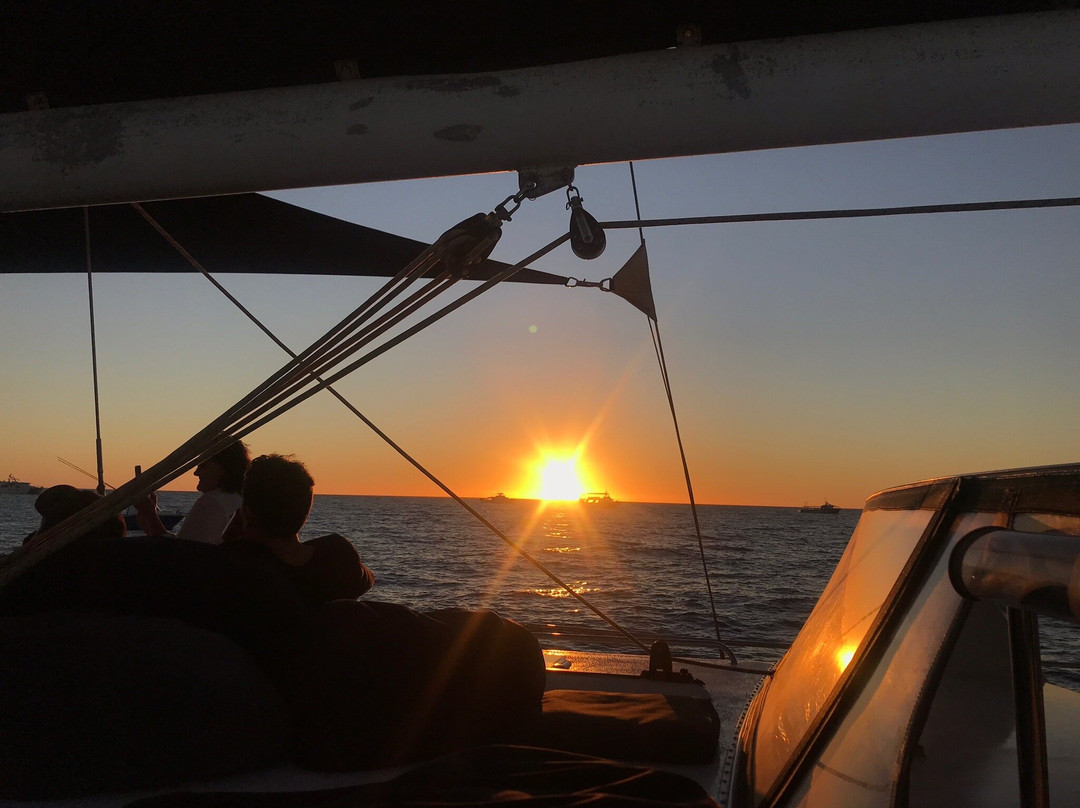 Broome Whale Watching景点图片
