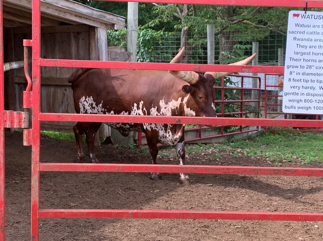 Boyceville旅游攻略图片