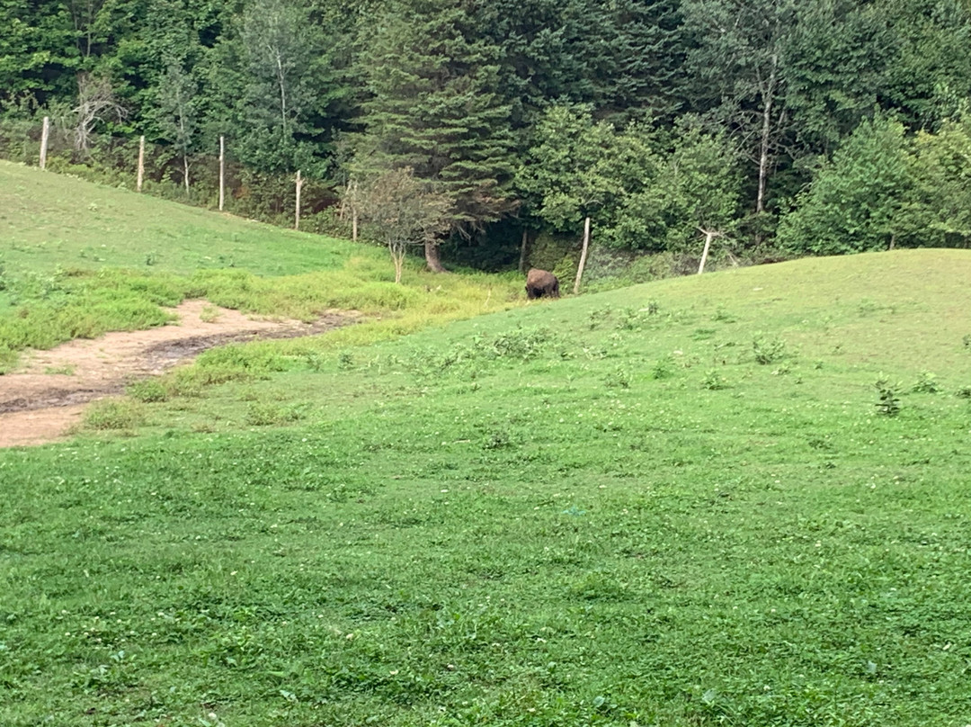 La Terre des Bisons-Rawdon必去景点