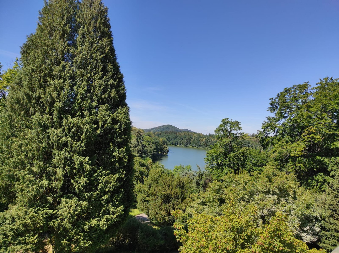 Konopiste Castle景点图片