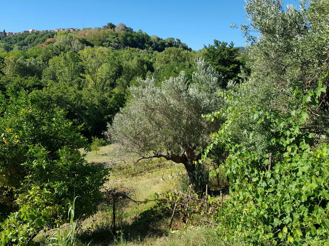 Agriturismo La Turritella主图