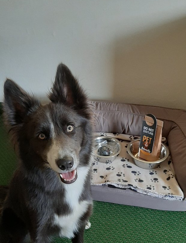 Hotel Loredana主图