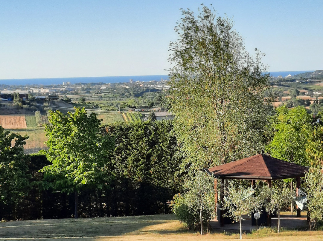 Agriturismo Papaveri e Papere主图