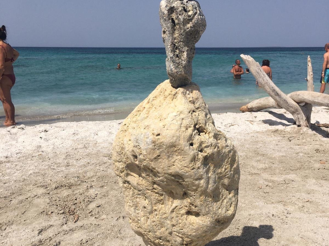 B&B Sa Babbaiola主图