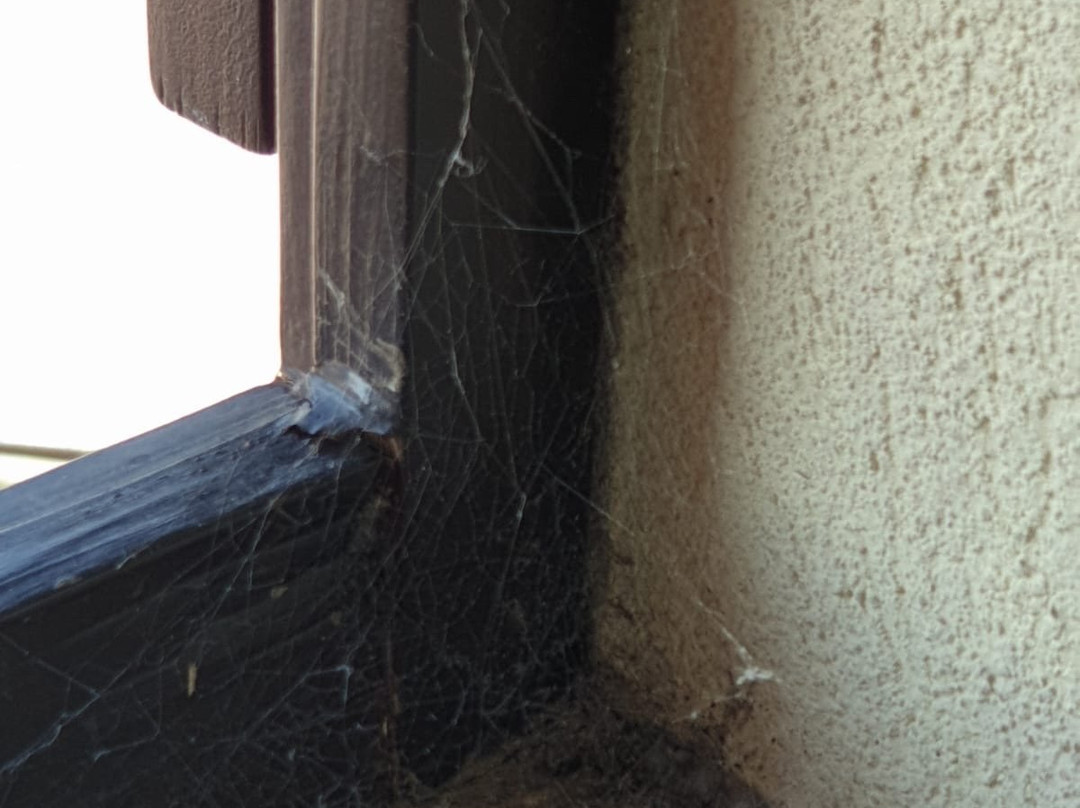 B&B il Casale Del Chienti主图