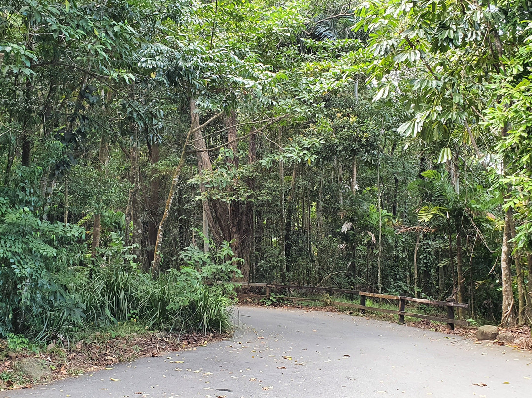 Mount Alexandra Lookout-Cape Tribulation必去景点