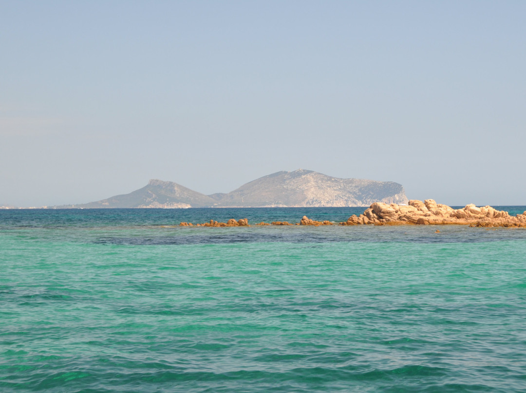 Isola Di Molara-奥尔比亚必去景点