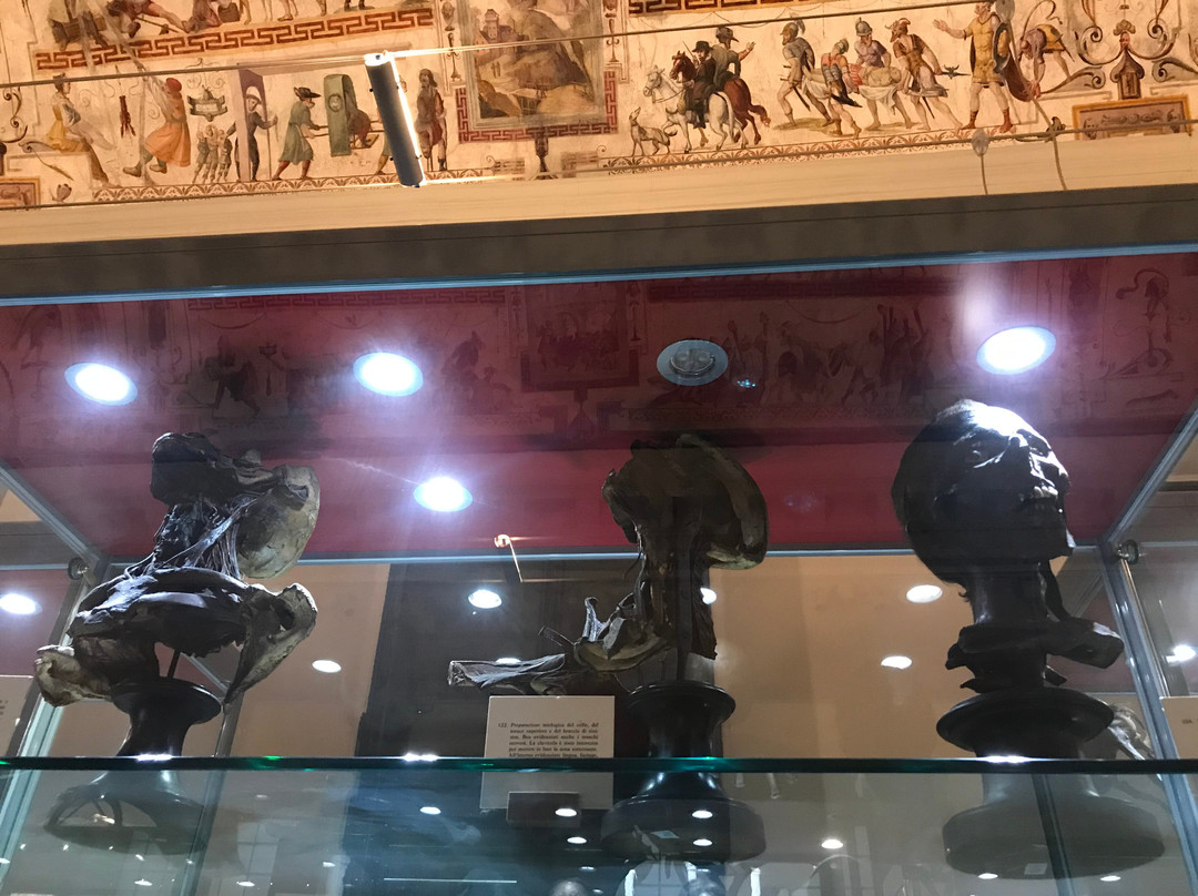 Museo Di Paolo Gorini-洛迪必去景点