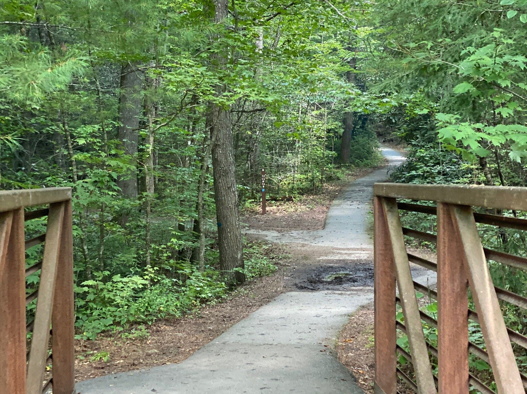 Fire Creek Falls-Murphy必去景点