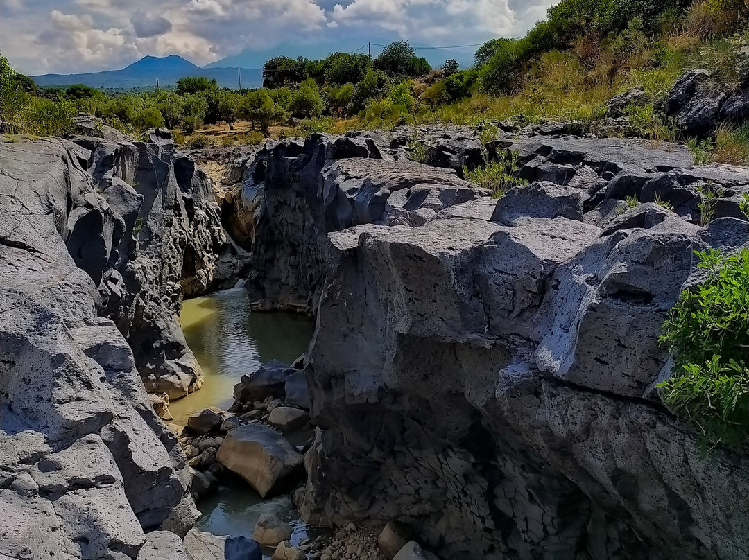 Ponte dei Saraceni景点图片