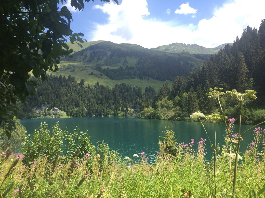 Barrage de Saint-Guerin-Areches必去景点